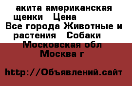 акита американская.щенки › Цена ­ 75 000 - Все города Животные и растения » Собаки   . Московская обл.,Москва г.